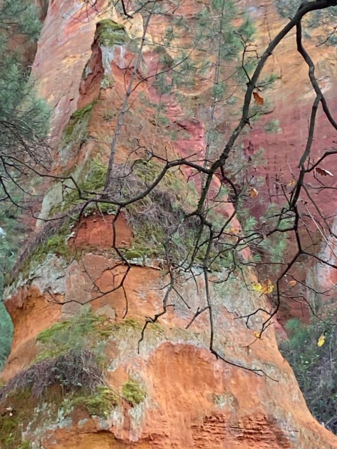 빌라 데 로지즈 Roussillon en Isere 외부 사진